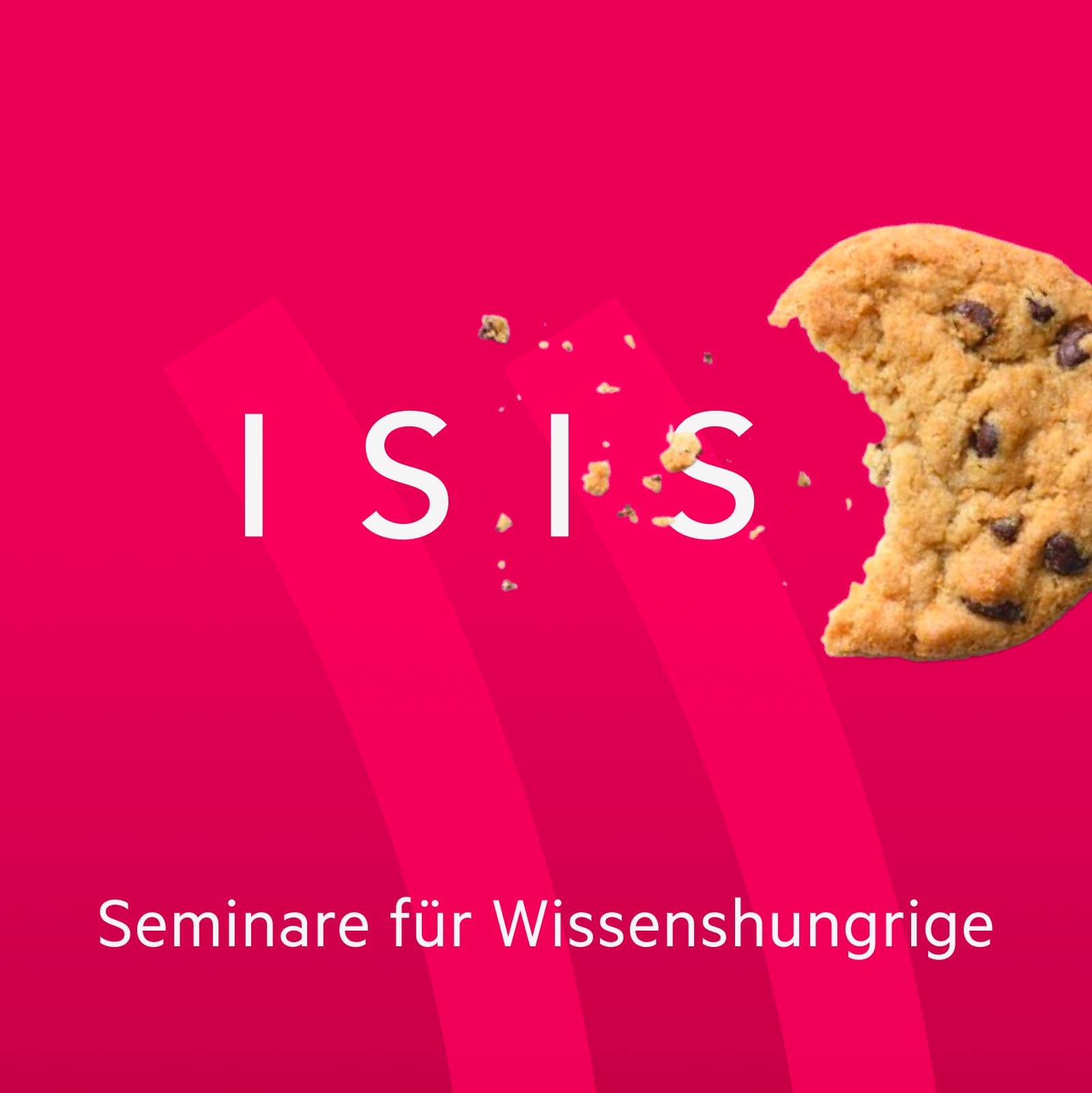 «Crypto Tax Navigator»: Tokenausgabe von Bewertung bis Verfahrensrecht